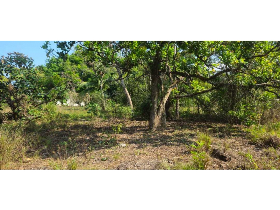 VENDO LOTE EN ALGARROBOS - 6