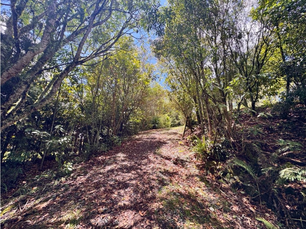 Vendo lote en Alto de las Palmas, sector Mercajuste — foto 2