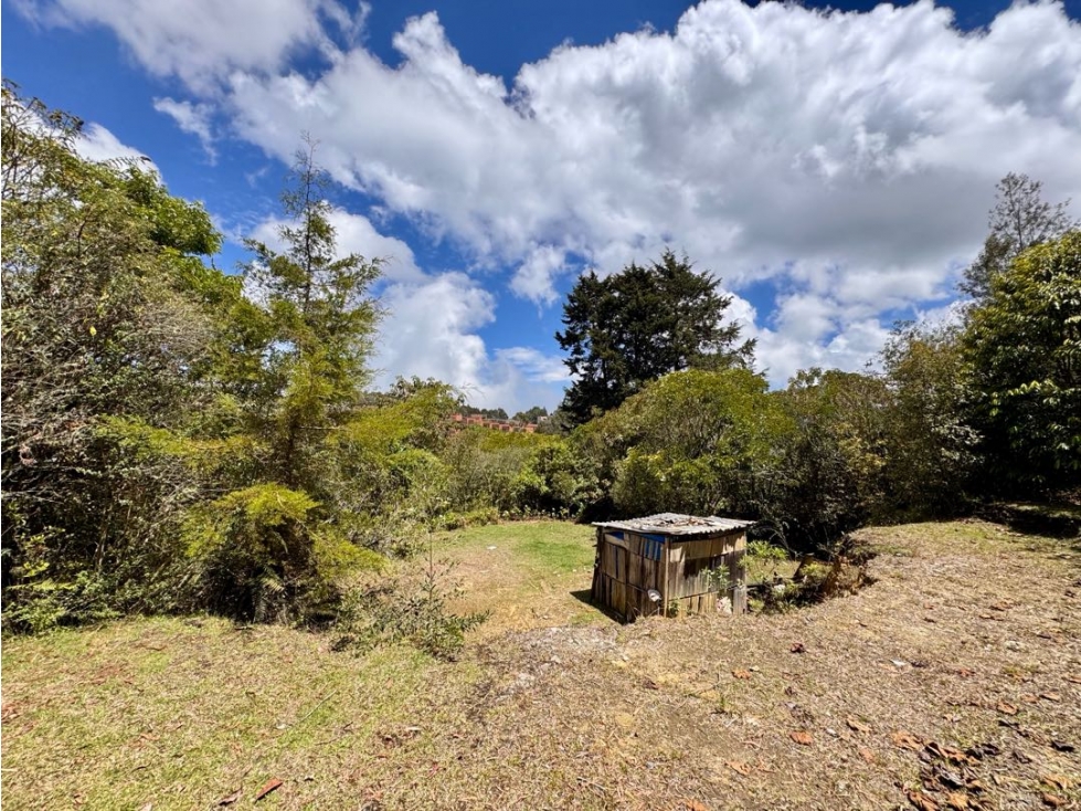 Vendo lote en Alto de las Palmas, sector Mercajuste — foto 5