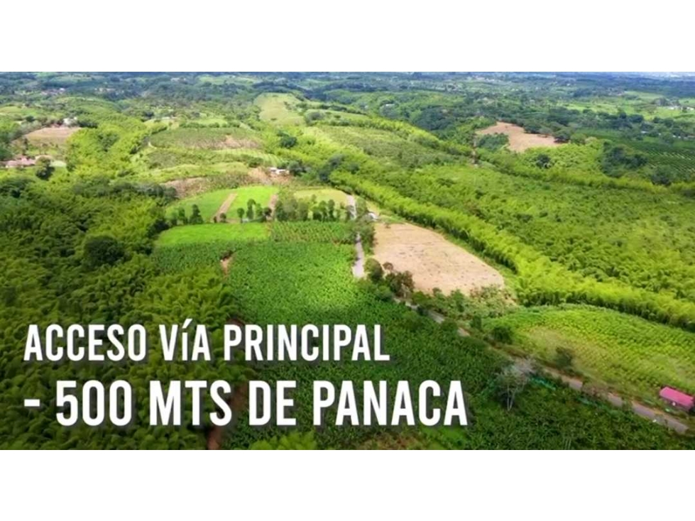 VENDO Lote en Armenia, Quindio a 500 mts de Panaca. - 3