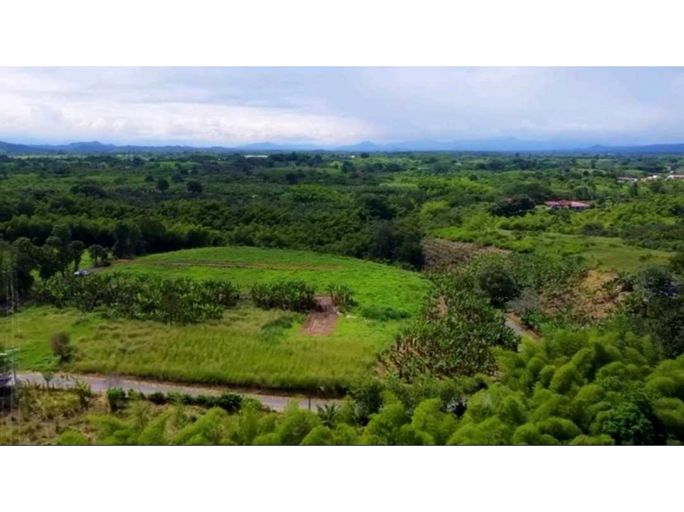 VENDO Lote en Armenia, Quindio a 500 mts de Panaca. - 5