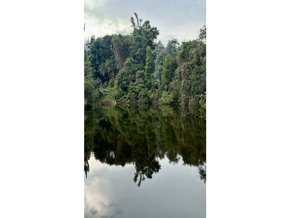 VENDO LOTE EN BOSQUES DE GRANADA Y CAYUNDA ATRÁS DE LA PRADERA POTOSÍ - 1