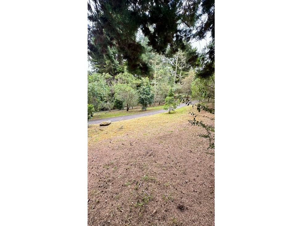 VENDO LOTE EN BOSQUES DE GRANADA Y CAYUNDA ATRÁS DE LA PRADERA POTOSÍ - 6