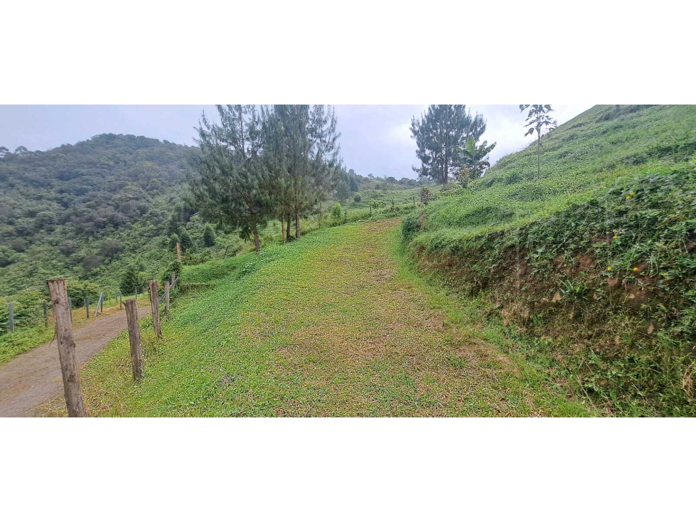 Se Vende lote en Caldas Antioquia - 5
