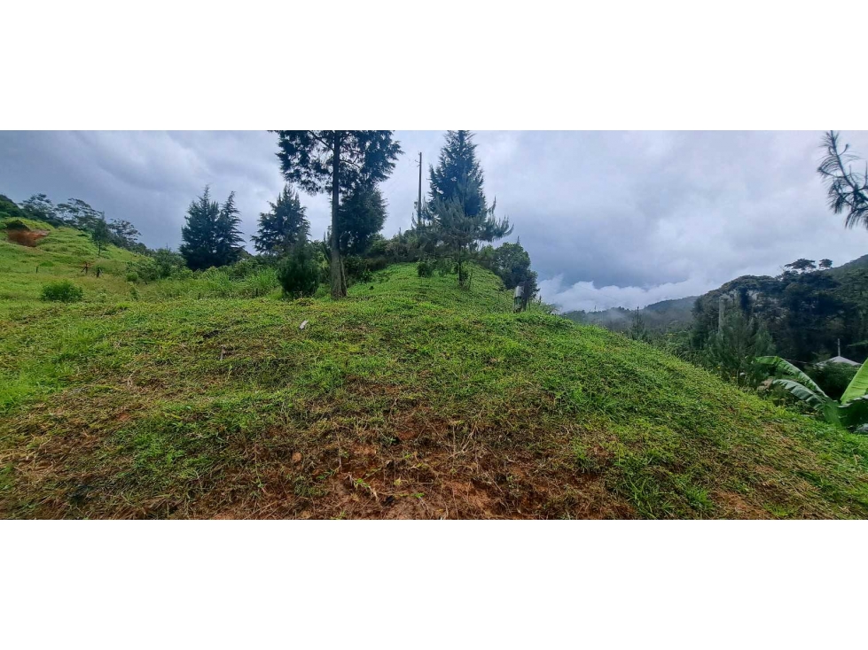 Se Vende lote en Caldas Antioquia - 6