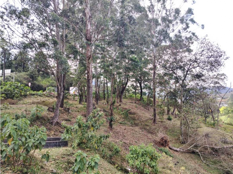 VENDO LOTE EN CALDAS SECTOR PRIMAVERA - 3