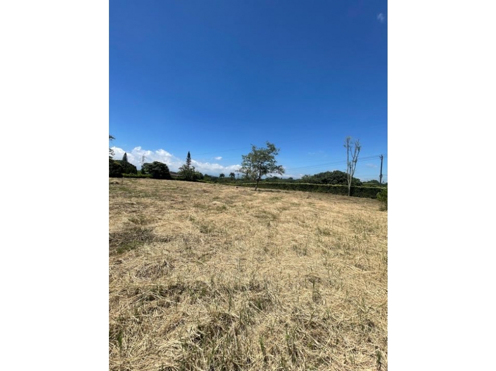 VENDO LOTE EN CERRITOS PEREIRA