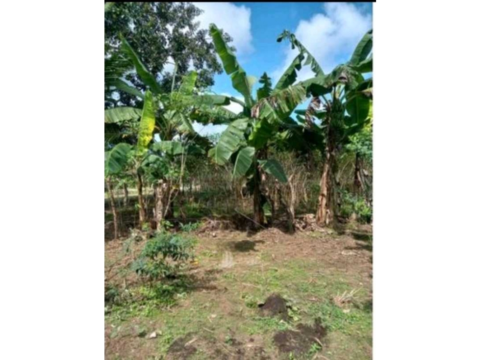 VENDO LOTE EN CHIRIQUÍ TEJAR DE ALANJE - 3