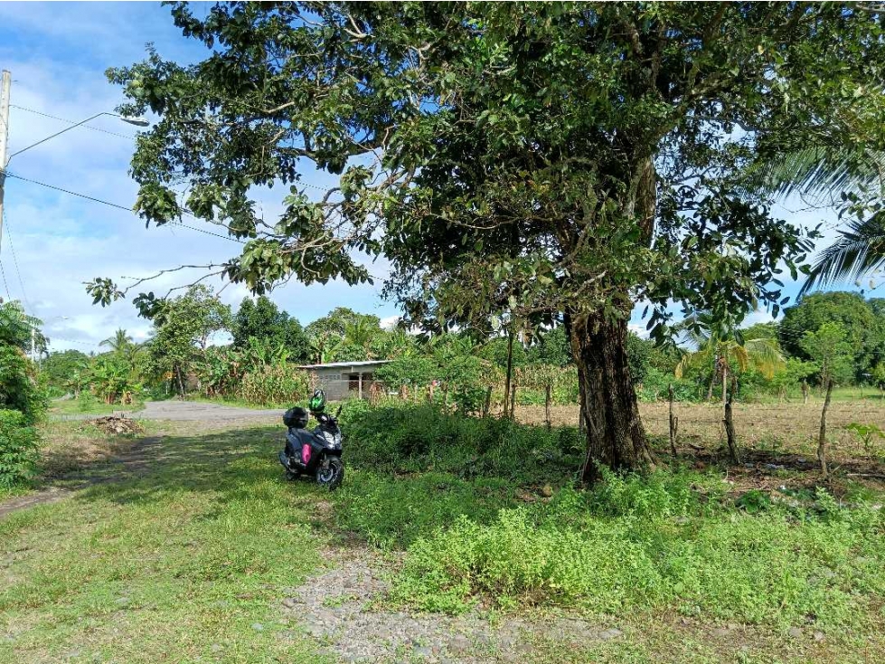 VENDO LOTE EN CHIRIQUÍ TEJAR DE ALANJE - 4