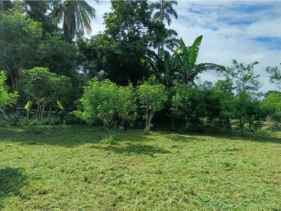 VENDO LOTE EN CHIRIQUÍ TEJAR DE ALANJE - 5