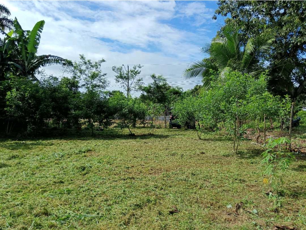 VENDO LOTE EN CHIRIQUÍ TEJAR DE ALANJE - 6