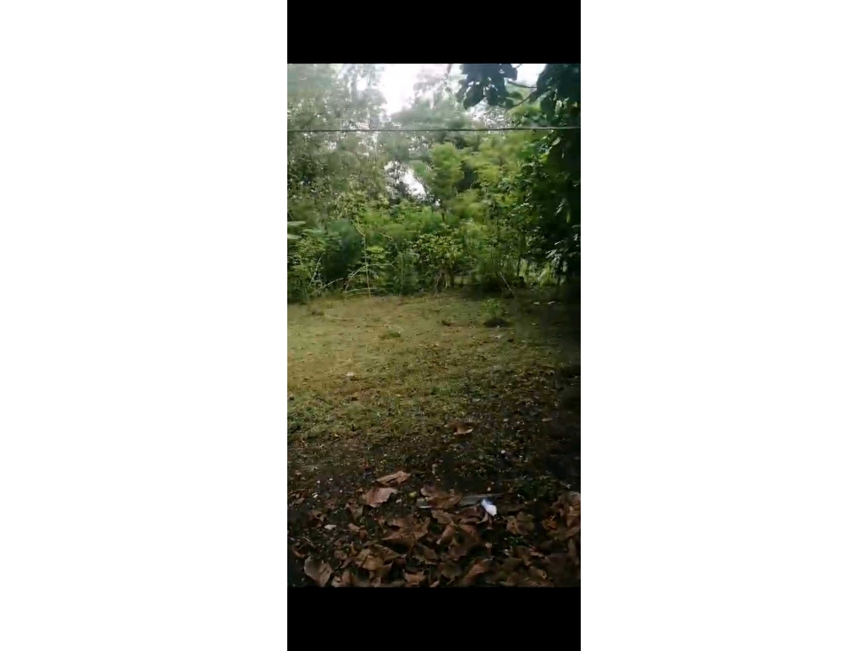 VENDO LOTE EN CHIRIQUI LA MATA DE BUGABA - 2