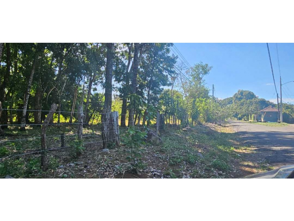 VENDO LOTE EN DOLEGA 6000 METROS - 1