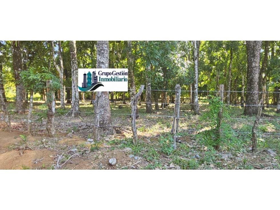 VENDO LOTE EN DOLEGA 6000 METROS - 2