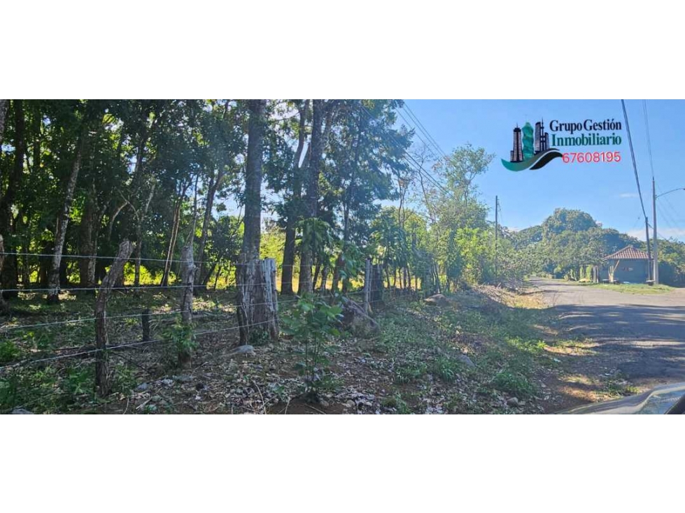 VENDO LOTE EN DOLEGA 6000 METROS - 3