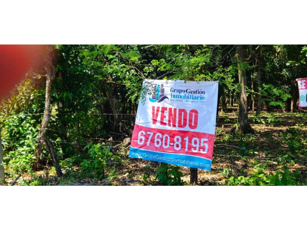 VENDO LOTE EN DOLEGA 6000 METROS - 4