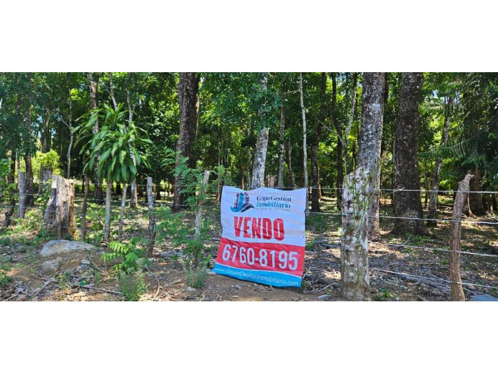 VENDO LOTE EN DOLEGA 6000 METROS - 5