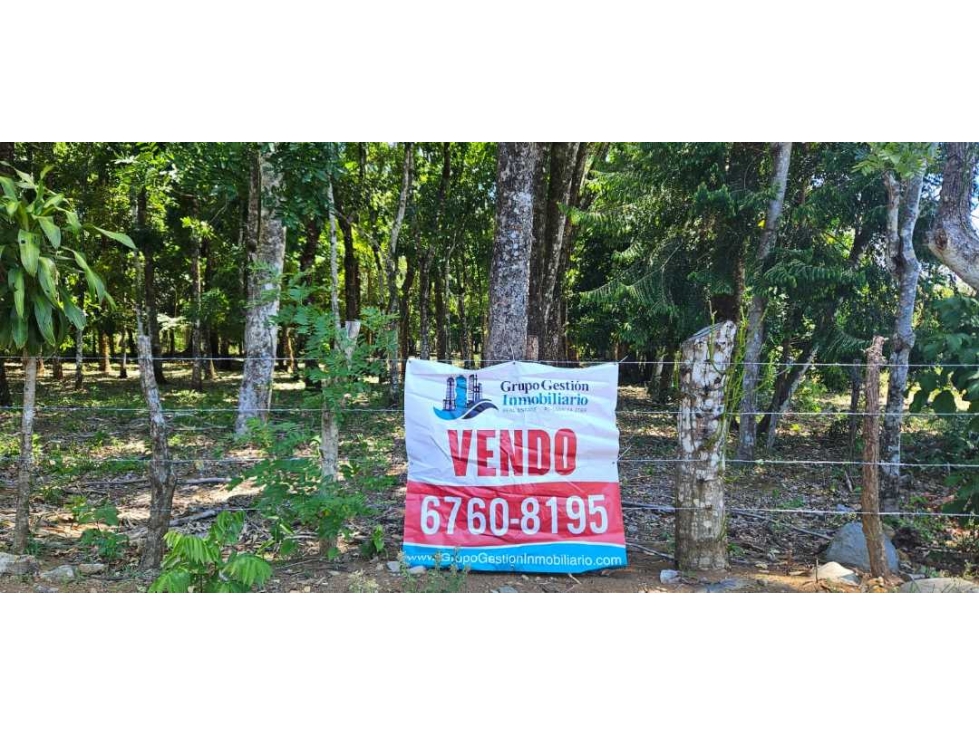 VENDO LOTE EN DOLEGA 6000 METROS - 6