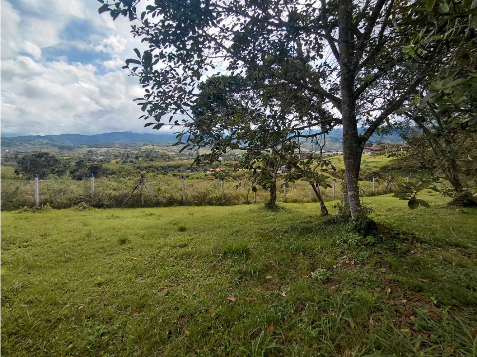 VENDO LOTE EN EL CARMEN 3.427 M2 ALG- LL 7726455 — foto 6
