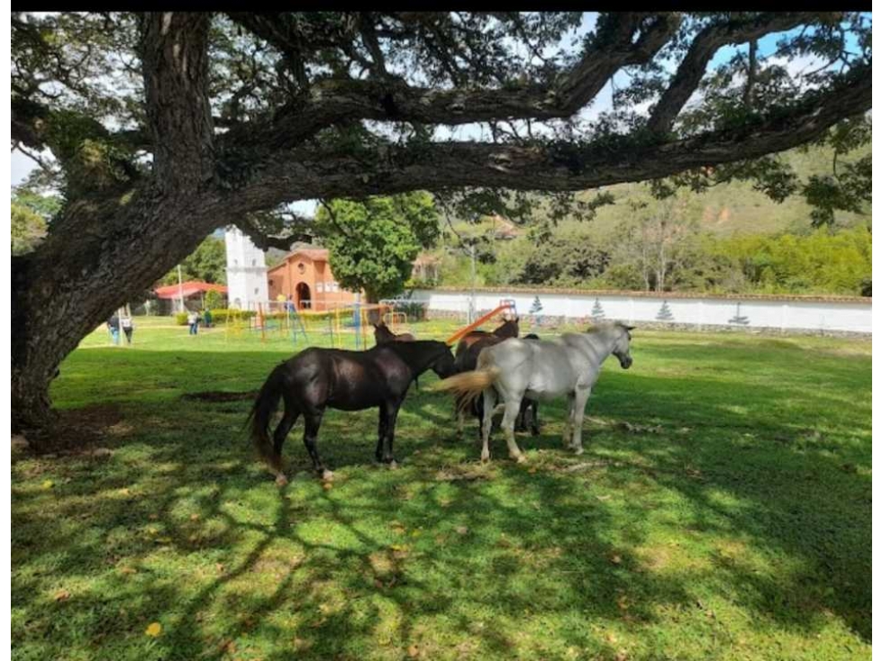 Vendo lote en el kilometro 43 san jose del salado 10 minutos queremal - 1