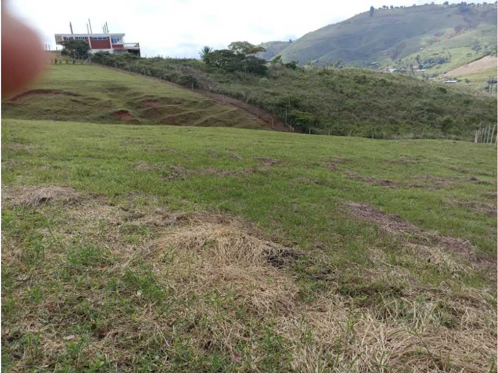 Vendo lote en el kilometro 43 san jose del salado 10 minutos queremal - 3