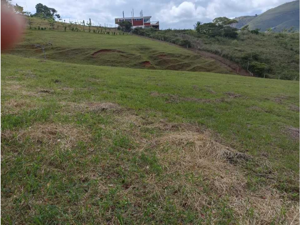 Vendo lote en el kilometro 43 san jose del salado 10 minutos queremal - 4