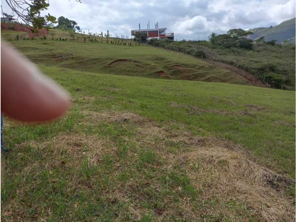 Vendo lote en el kilometro 43 san jose del salado 10 minutos queremal - 6