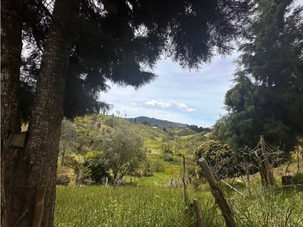 Vendo lote en el municipio de guarne Antioquia de 2381 m²con licencia — foto 3