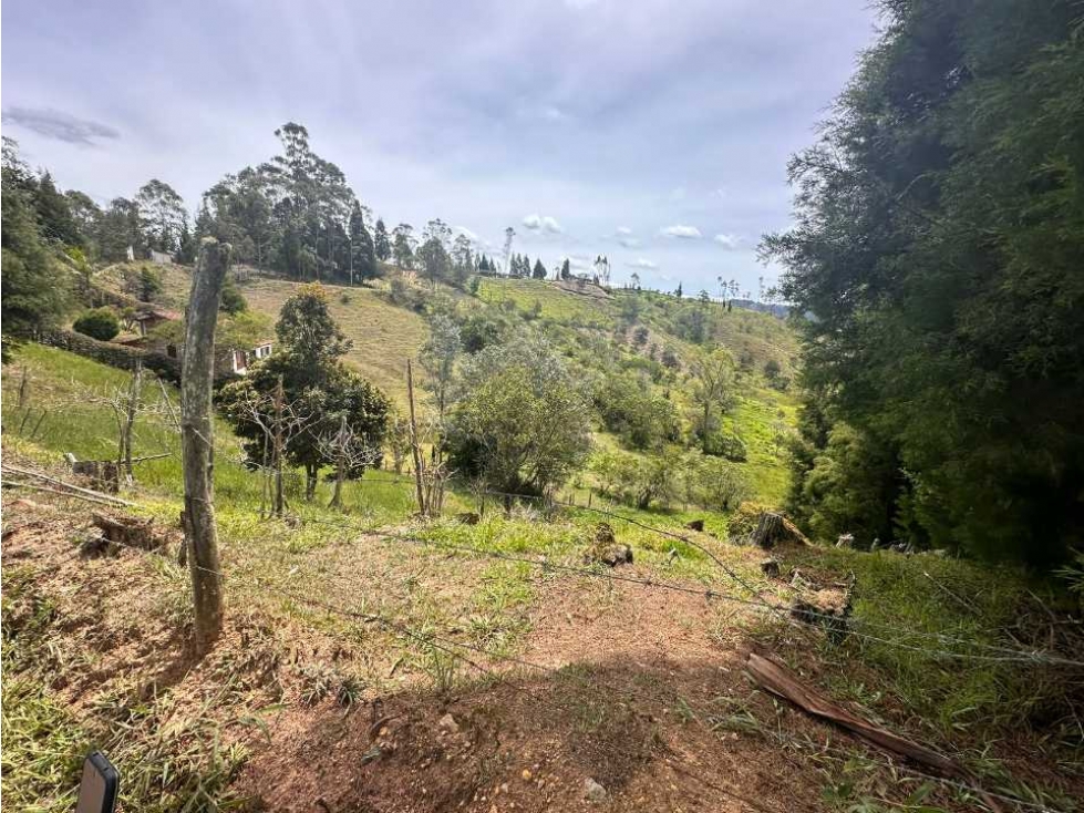 Vendo lote en el municipio de guarne Antioquia de 2381 m²con licencia — foto 5