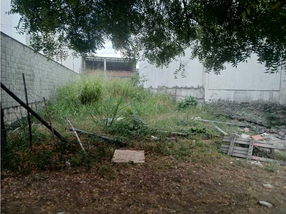 Vendo lote en el norte de Cali barrio la la flora con area de 273 m2 — foto 2