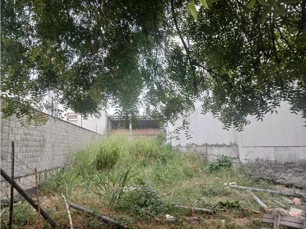 Vendo lote en el norte de Cali barrio la la flora con area de 273 m2 — foto 4