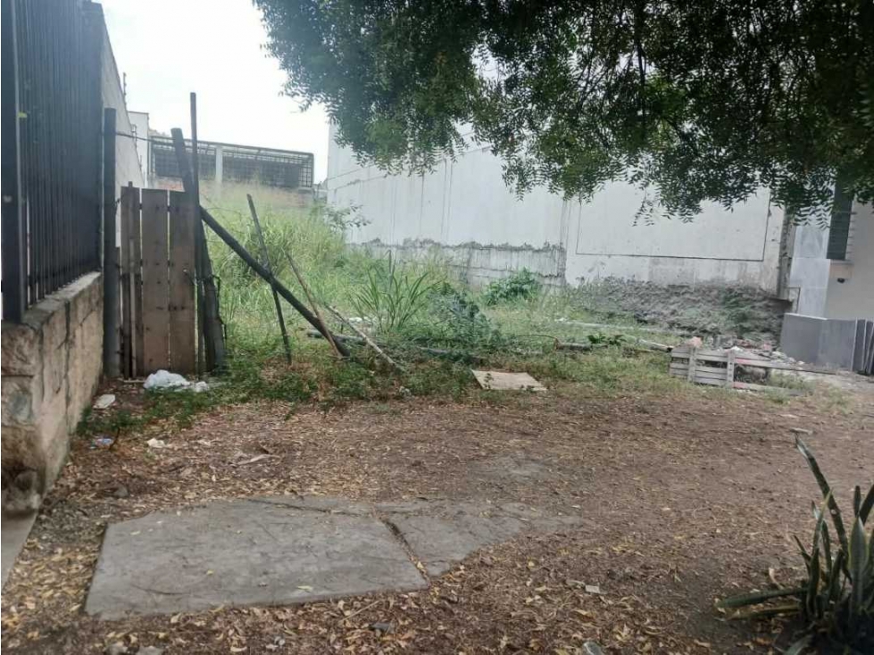 Vendo lote en el norte de Cali barrio la la flora con area de 273 m2 — foto 3
