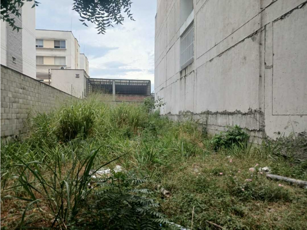 Vendo lote en el norte de Cali barrio la la flora con area de 273 m2 — foto 5