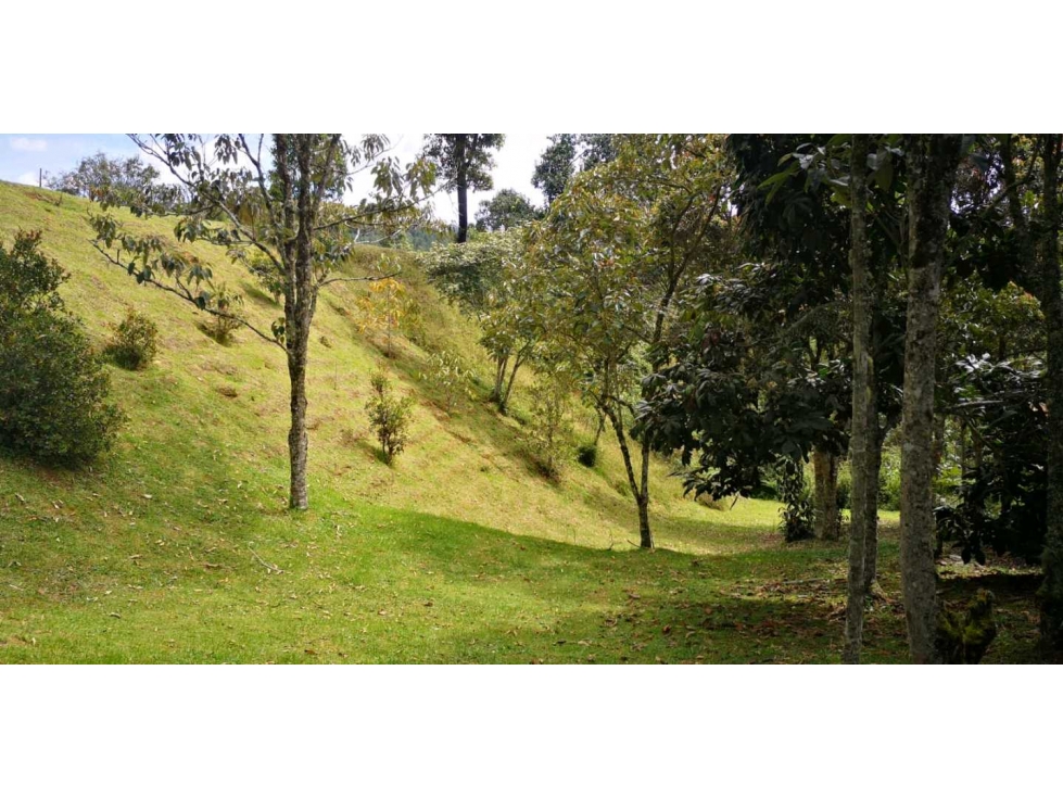 vendo lote en el retiro urbanización campestre y cerrada — foto 6