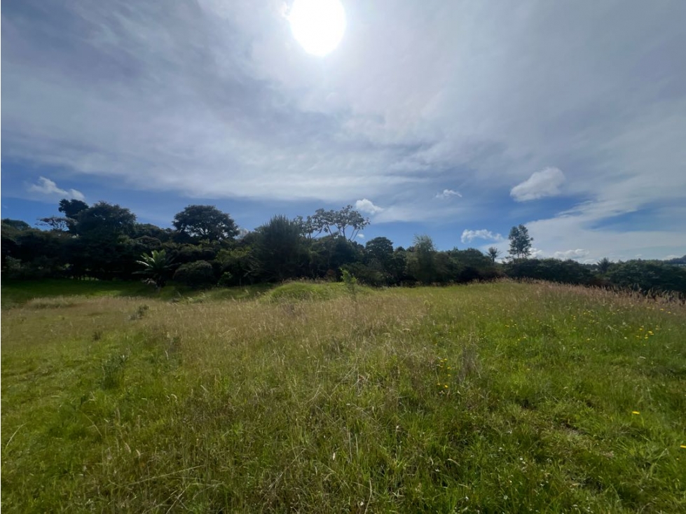 VENDO LOTE EN ENCINILLOS ALTO DE LAS PALMAS LA ACUARELA — foto 2