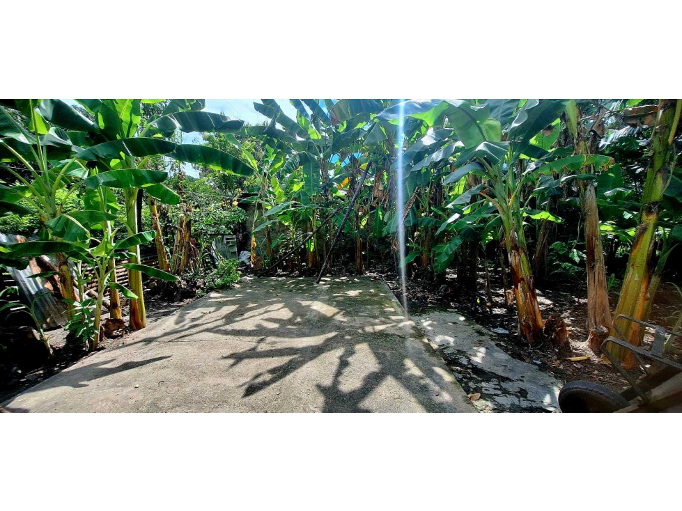 VENDO LOTE EN FLANDES VEREDA TOPACIO $24.000.000 - 5