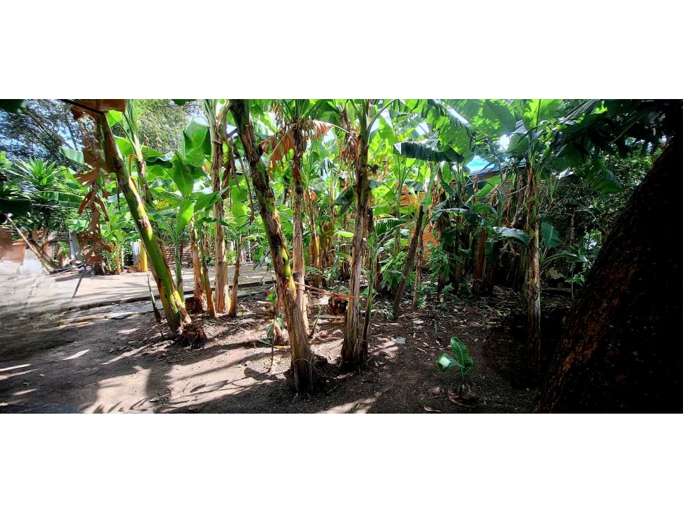 VENDO LOTE EN FLANDES VEREDA TOPACIO $24.000.000 - 6