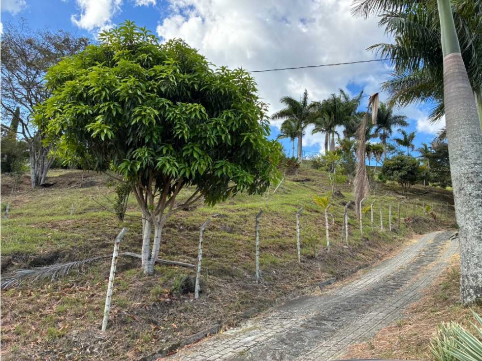 VENDO LOTE EN GIRARDOTA, EL LIMONAR VEREDA CURAZAO — foto 3