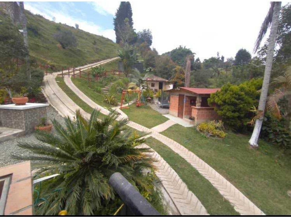 Vendo lote en Guarne, Antioqui, 5.000 m2 vereda Hojas Anchas — foto 2