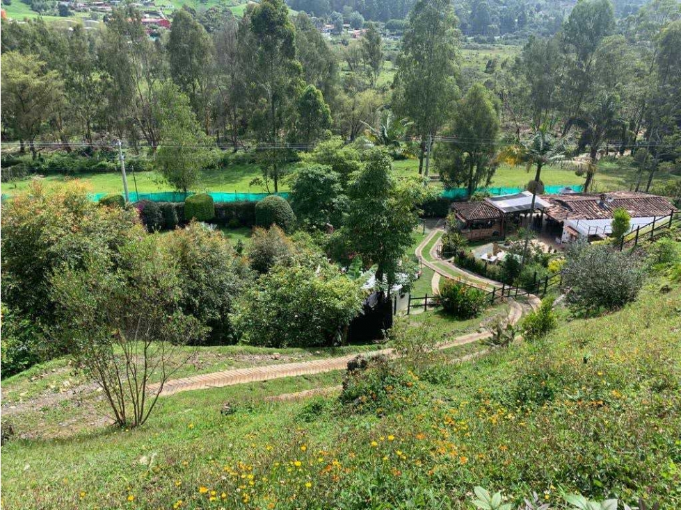 Vendo lote en Guarne, Antioqui, 5.000 m2 vereda Hojas Anchas — foto 3