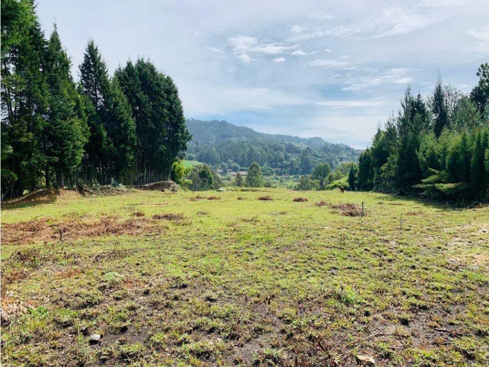 Vendo lote en Guarne, Antioqui, 5.000 m2 vereda Hojas Anchas — foto 5