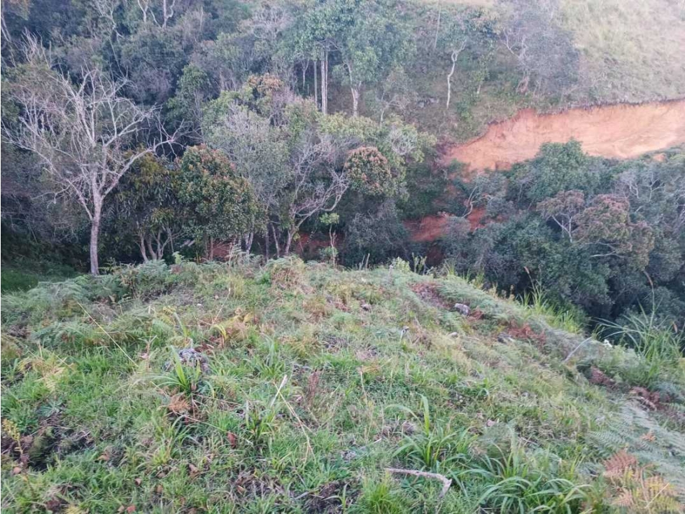 VENDO LOTE EN GUARNE ANTIOQUIA OPORTUNIDAD