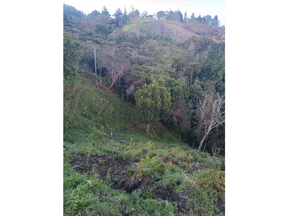 VENDO LOTE EN GUARNE ANTIOQUIA OPORTUNIDAD — foto 2