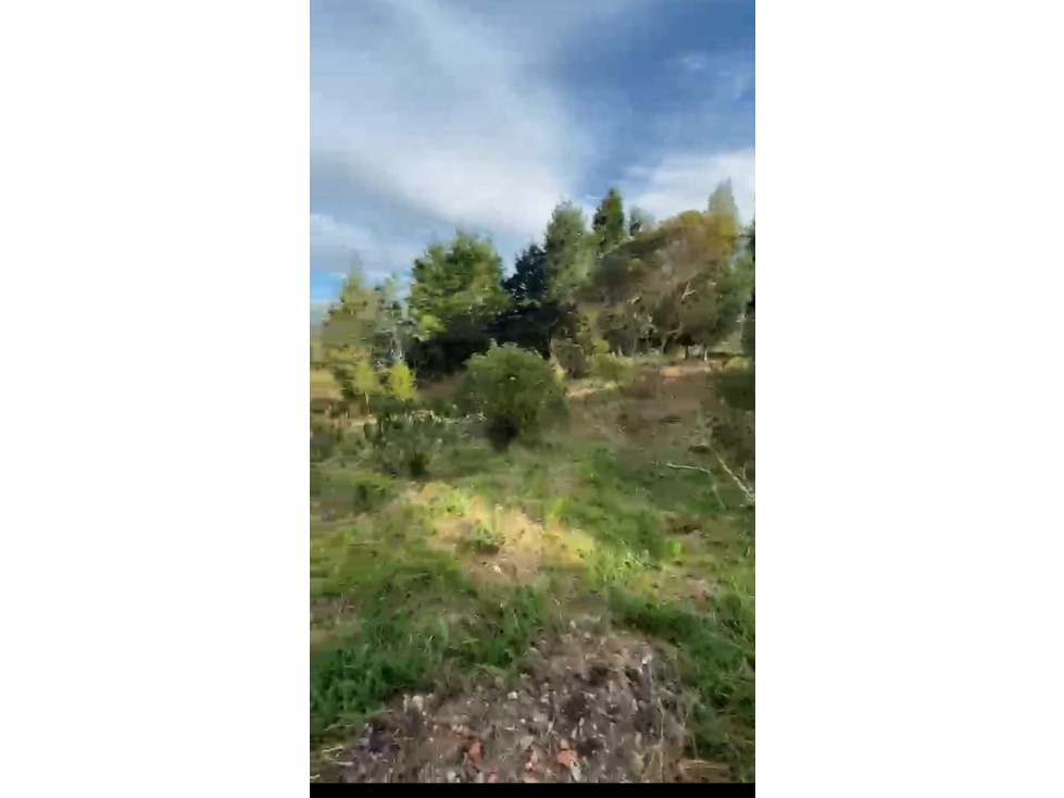 VENDO LOTE EN GUARNE VEREDASAN ISIDRO EN PARCELACION ESCRUTURA100% — foto 3