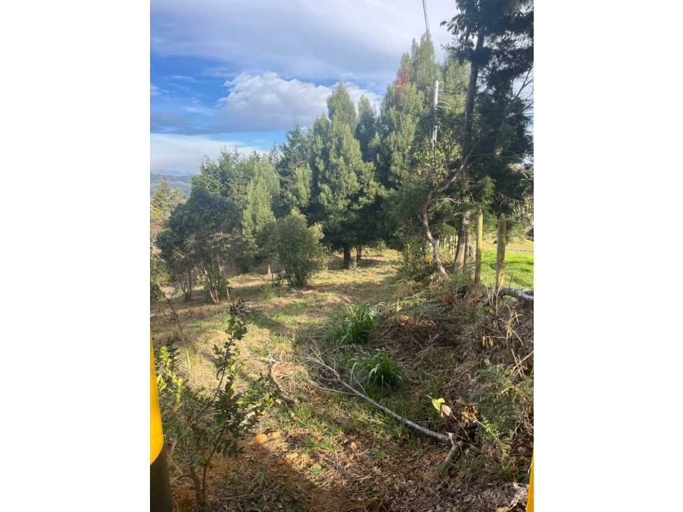 VENDO LOTE EN GUARNE VEREDASAN ISIDRO EN PARCELACION ESCRUTURA100% — foto 4