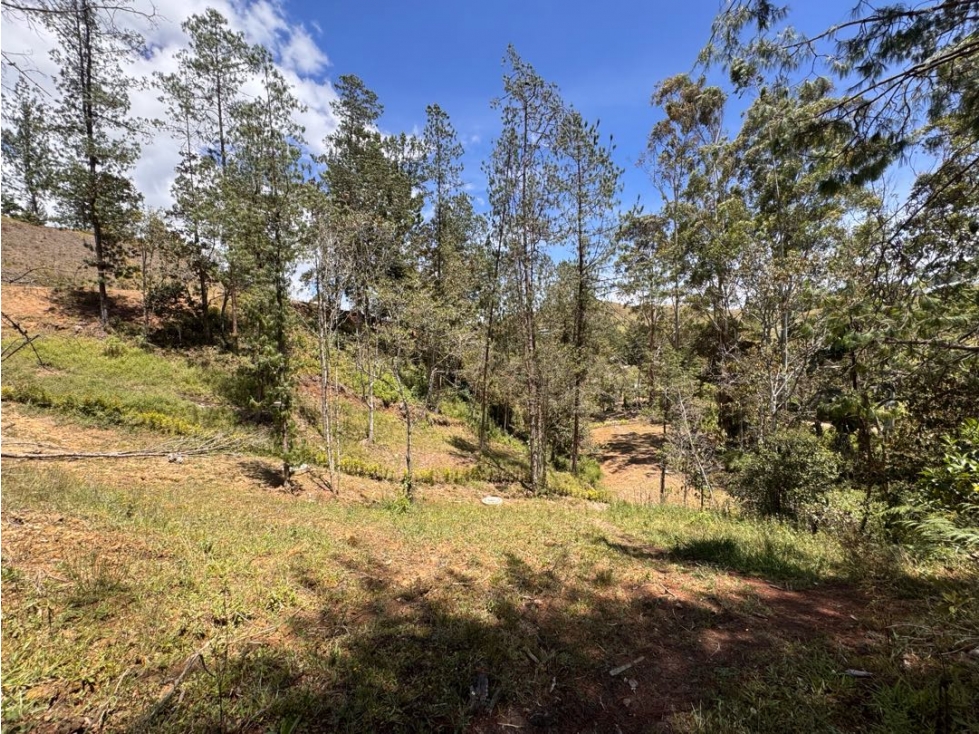 Vendo lote en Hacienda Flandes en El Retiro Antioquia — foto 4