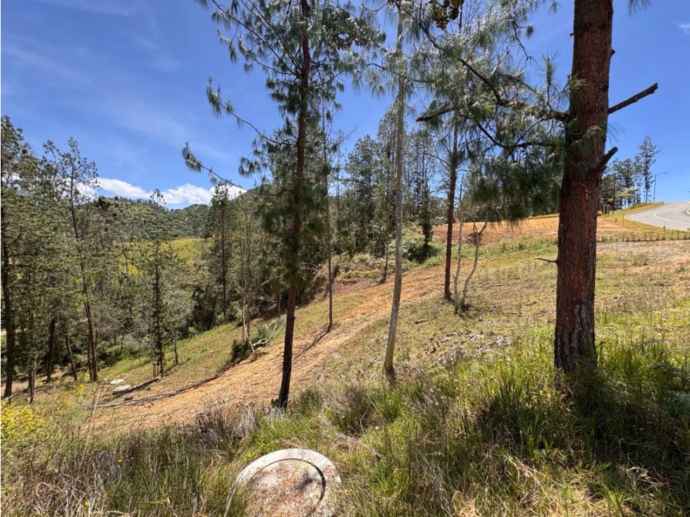 Vendo lote en Hacienda Flandes en El Retiro Antioquia — foto 5