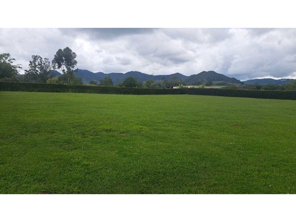 VENDO LOTE EN LA CEJA ANTIOQUIA