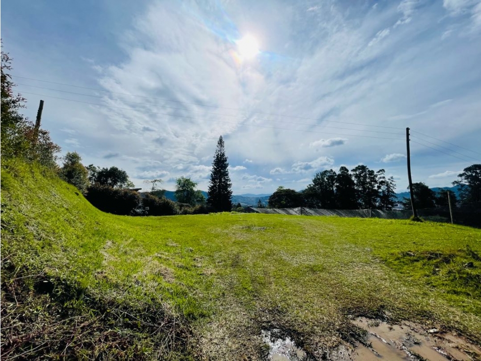 VENDO LOTE EN LA CEJA ANTIOQUIA SECTOR LAS LOMITAS CON VISTA PANORÁMIC — foto 4