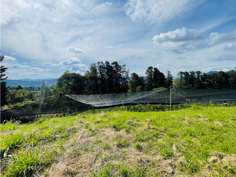 VENDO LOTE EN LA CEJA ANTIOQUIA SECTOR LAS LOMITAS CON VISTA PANORÁMIC — foto 6